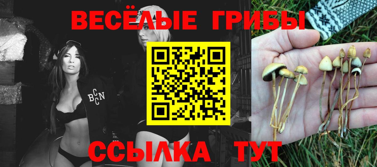 Псилоцибиновые грибы мухоморы Сорочинск